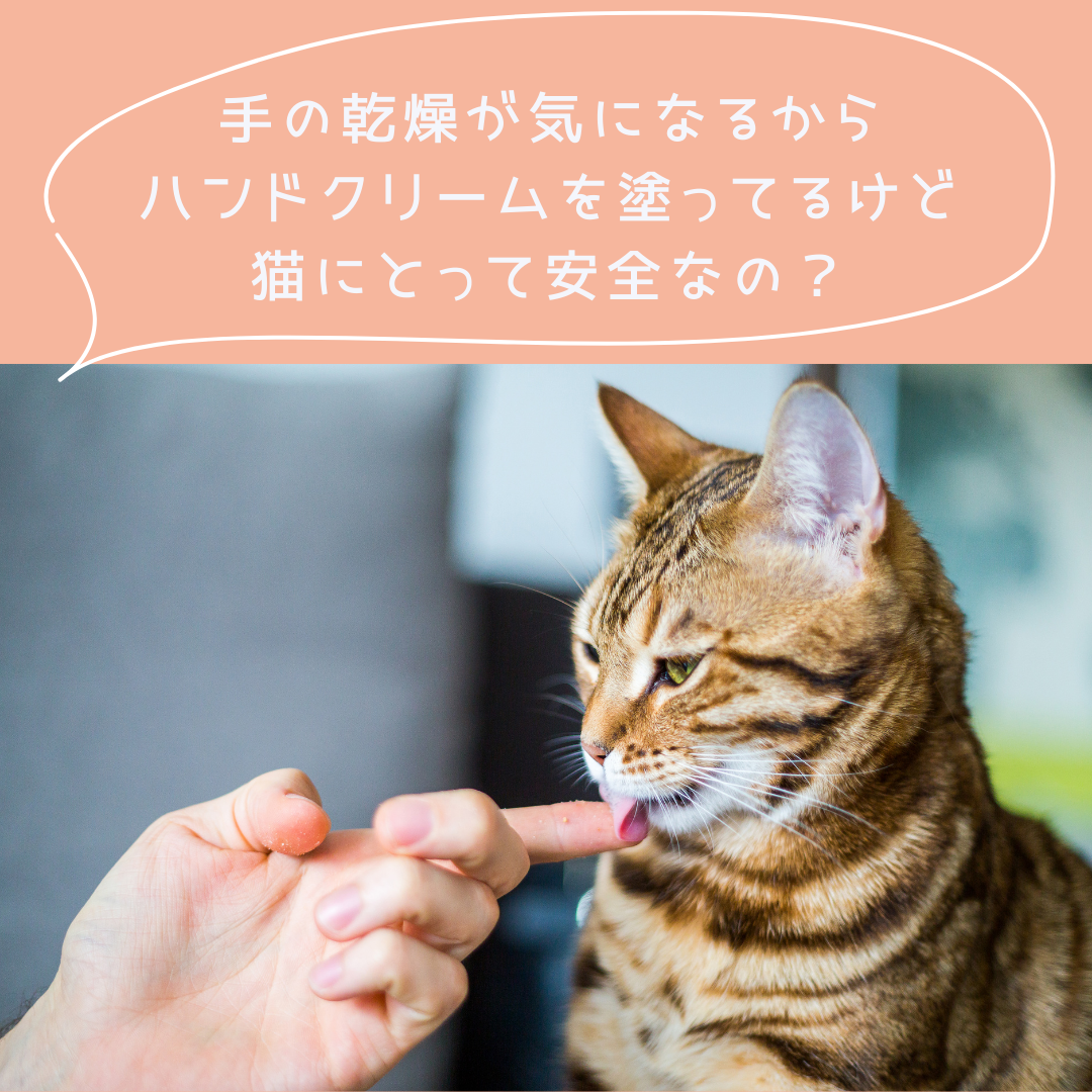 ハンドクリーム 30g【2本で送料無料】