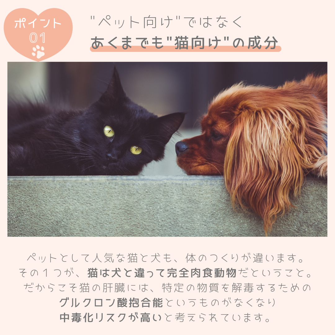 ハンドクリーム 30g【2本で送料無料】